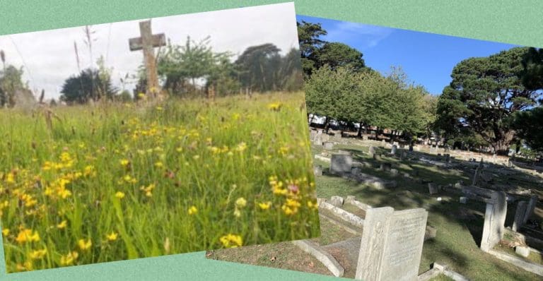Weymouth Public Vote To Put Wildlife First In Local Cemeteries And Other Decisions…