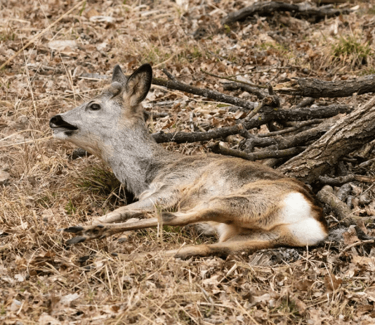 We Cannot Believe What Has Just Happened