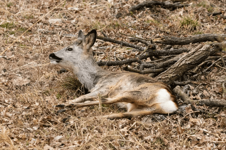 We Cannot Believe What Has Just Happened