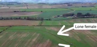 “I Was Absolutely Terrified”: Dorset Woman Reveals Her Experience Of Being Followed By Two Men For Twenty Minutes