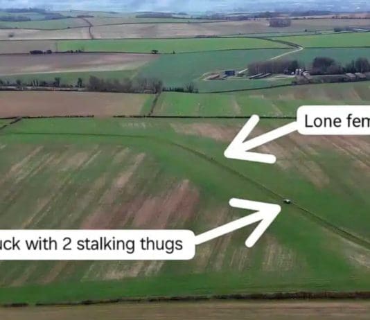 “I Was Absolutely Terrified”: Dorset Woman Reveals Her Experience Of Being Followed By Two Men For Twenty Minutes