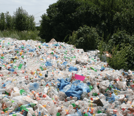 Why The World Needs To Be Rid Of Plastic