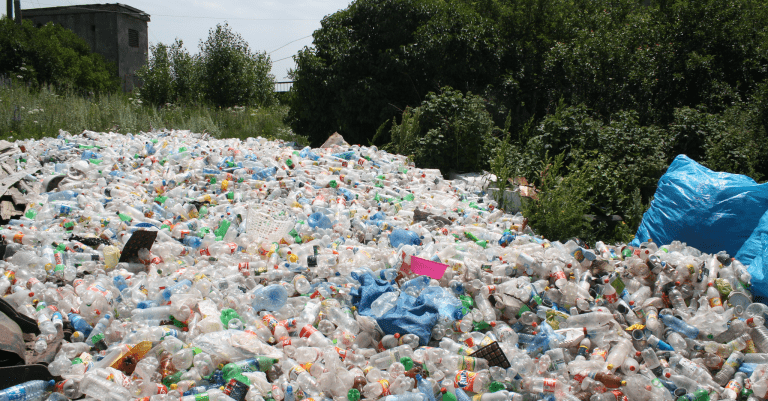 Why The World Needs To Be Rid Of Plastic