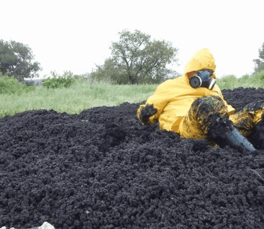 Investigation Reveals How British Farmers Are Poisoning the Public