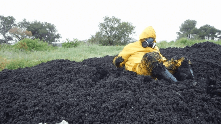Investigation Reveals How British Farmers Are Poisoning the Public
