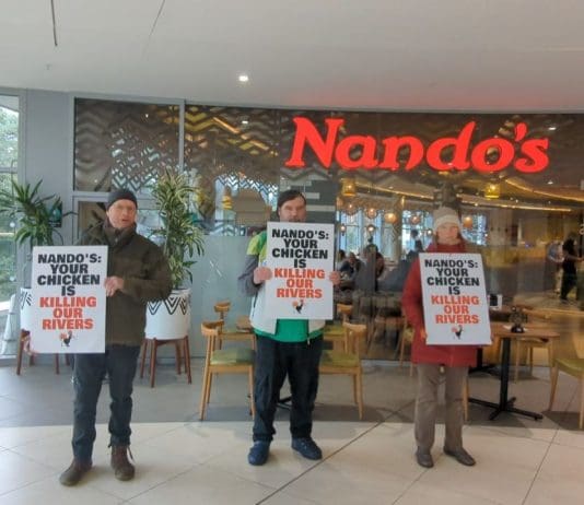 Nando’s Are Killing Our Rivers
