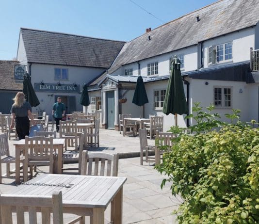 HELP US SAVE THE ELM TREE INN!