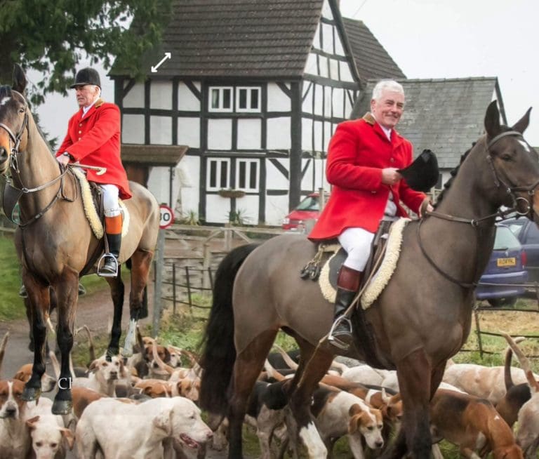 Vast Majority of the Public Want Tighter Hunting Legislation But Labour Government Turning a Deaf Ear