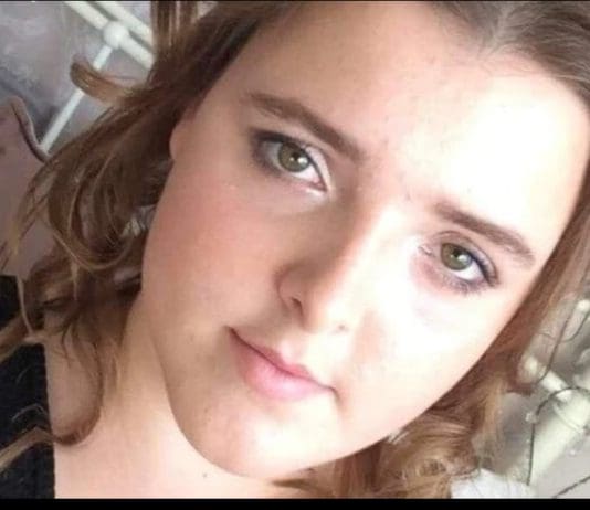 The Hidden Warning Signs: How Animal Cruelty Predicts Human Violence