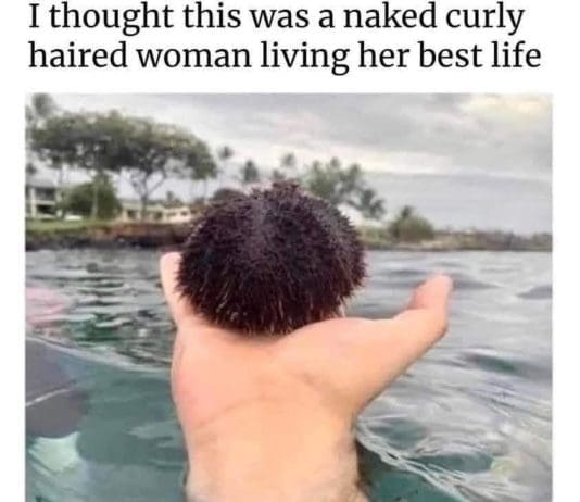 ‘I Thought This Was A Naked Curly-Haired Woman Living Her Best Life’