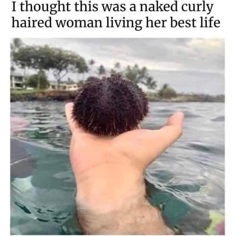 ‘I Thought This Was A Naked Curly-Haired Woman Living Her Best Life’