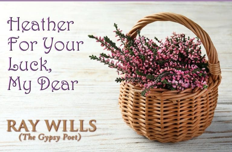 Heather for Your Luck, My Dear: A Captivating Insight into Gypsy Traveller Life in Dorset