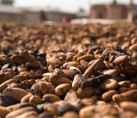 How Climate Change is Driving Up the Cost of Easter Eggs