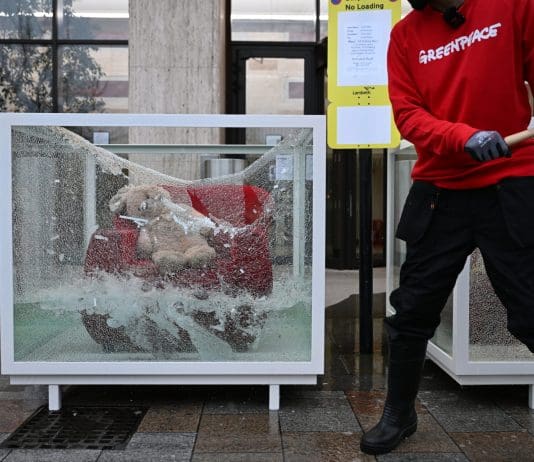 Greenpeace Bournemouth & Poole Hosts Exhibition Highlighting the Human Cost of Climate Change