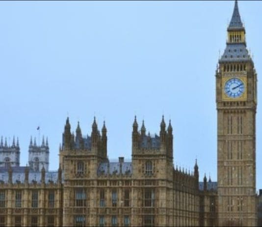 Vast Majority Of Voters, Including From Reform UK, Do Not Want Foreign Donors (Including Elon Musk) Funding UK Political Parties