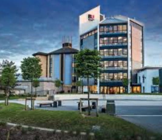 Navigating Life Beyond Graduation: International Students Speak Out