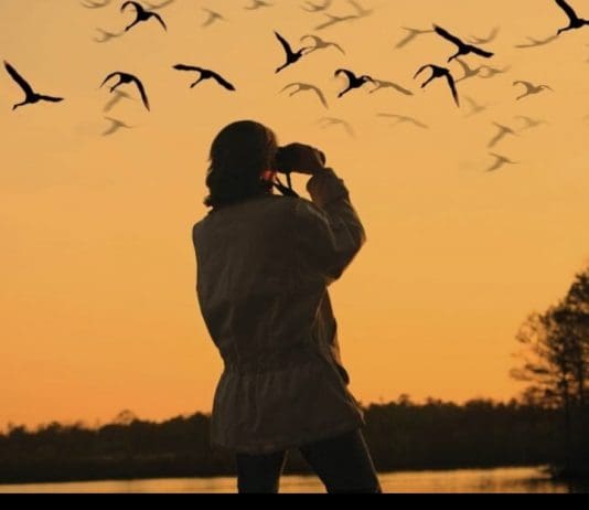 Some Told Me Birdwatching Is A ‘White People Thing’ – But Nature’s For Everyone, Says Mya-Rose Craig