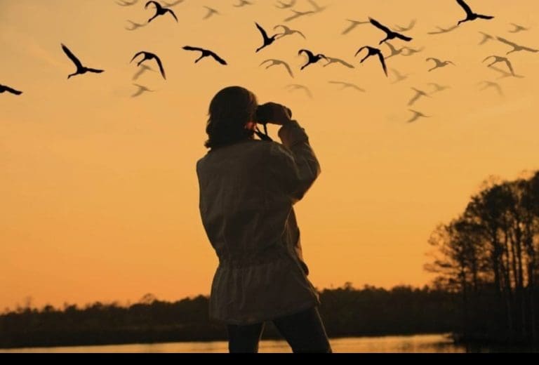 Some Told Me Birdwatching Is A ‘White People Thing’ – But Nature’s For Everyone, Says Mya-Rose Craig