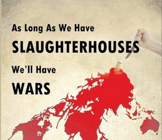 Until We Stop Slaughtering Animals, We Will Keep Slaughtering Each Other
