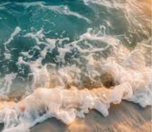 A Literary Journey Through Dorset: Ten Books That Capture the Soul of the County