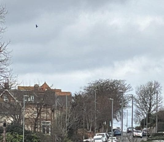 Woman Driver Sought Following Collision With 14 Year Old Girl In Weymouth