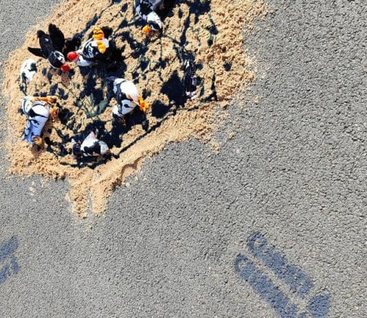‘Perenco Must Go’ Demo On Poole Quay
