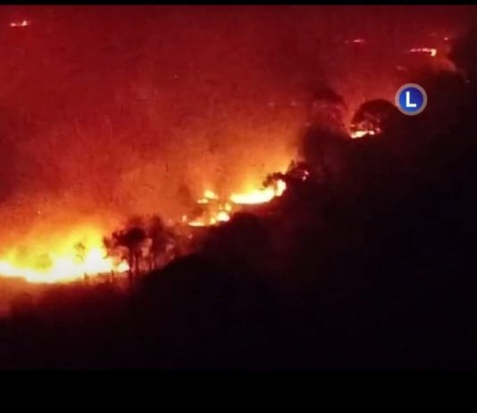 The Devastating Impact Of The Upton Heath Fire Exposed
