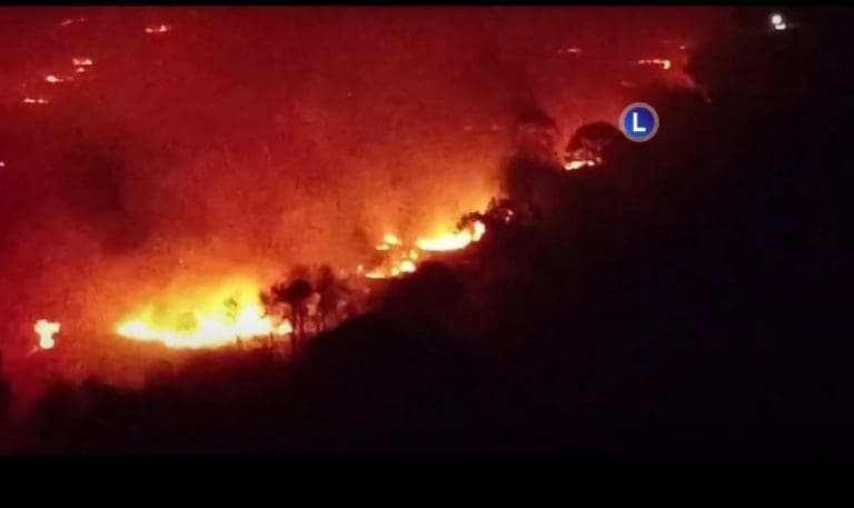 The Devastating Impact Of The Upton Heath Fire Exposed