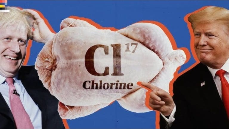 Why All the Fuss About Chlorinated Chicken?