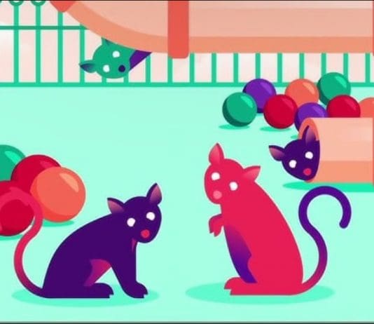 Everything You Think You Know About Addiction Is Wrong