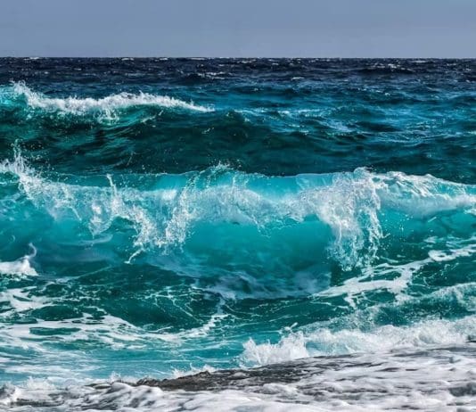 Donald Trump Wants To Allow The Corporations Loose On Our Oceans