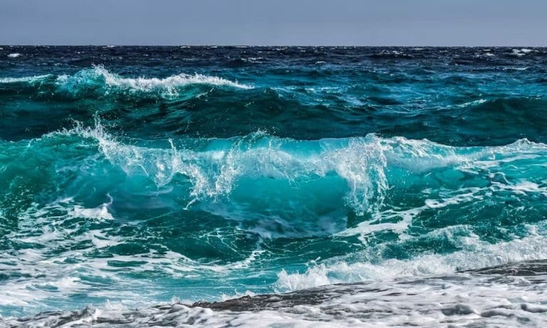 Donald Trump Wants To Allow The Corporations Loose On Our Oceans