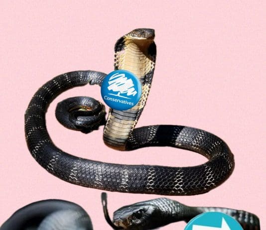 Tory Cobra And Reform UK Mamba Threatening To Share Same Bed