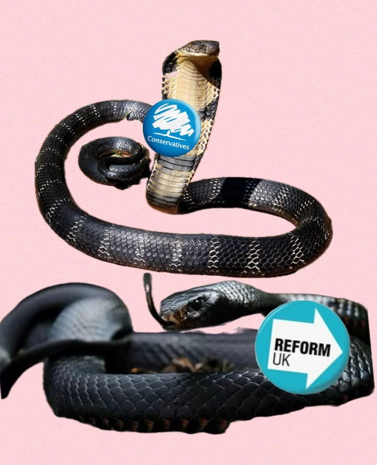 Tory Cobra And Reform UK Mamba Threatening To Share Same Bed