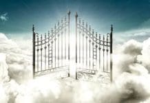 Trump Voters Do Not Care If He Kills Them, Because They Are Convinced Heaven Awaits