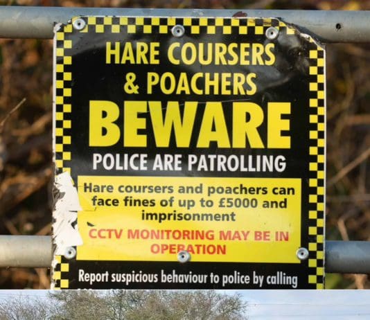 Organised Crime Behind Illegal Poaching And Hare Coursing Across Dorset