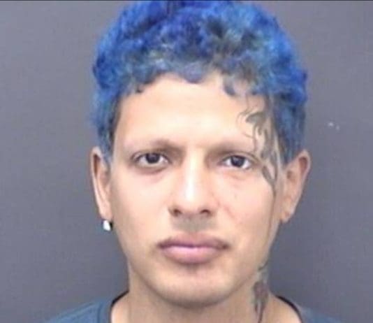 Police Very Concerned For Missing Nikki In Poole