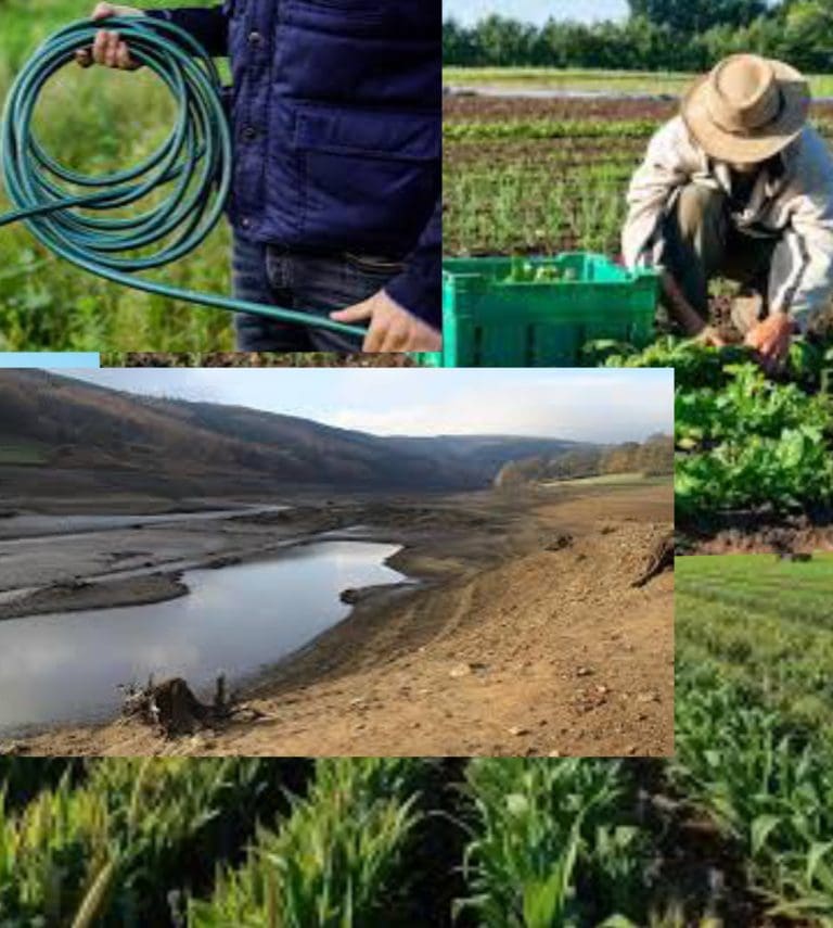 Farmer’s Warnings and Hosepipe Bans as Global Warming Threatens UK