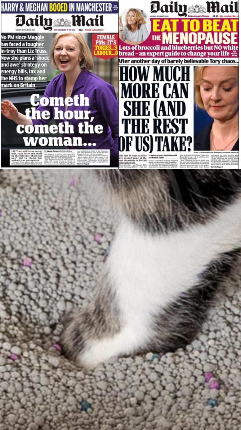 Reading the Daily Mail is Like Licking Out the Cat Litter — But People Still Do It