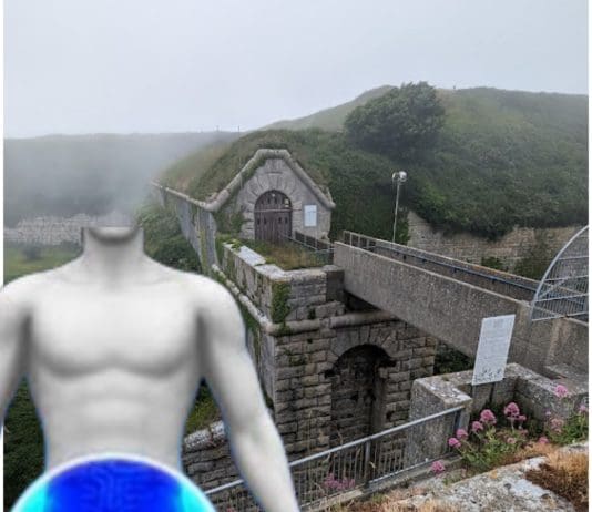 Would You Support Chemical Castration at the Verne?