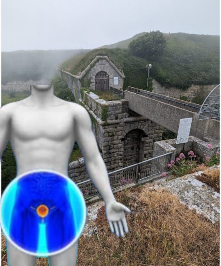 Would You Support Chemical Castration at the Verne?