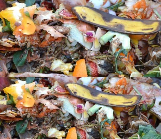 Stop Throwing Food Away — You Are Wrecking the Climate