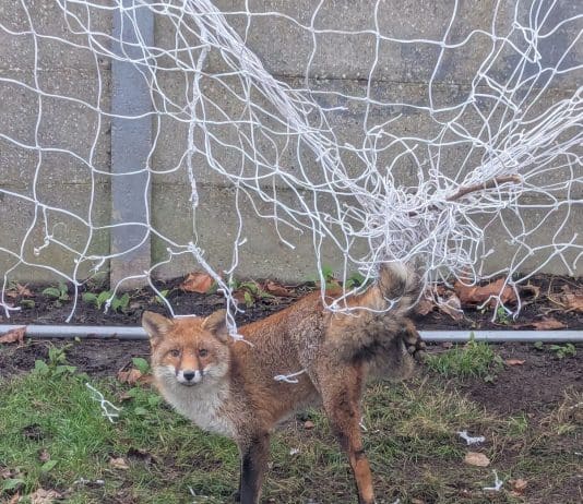 If You Have Football Netting In The Back Garden, Please Pack Away After Use