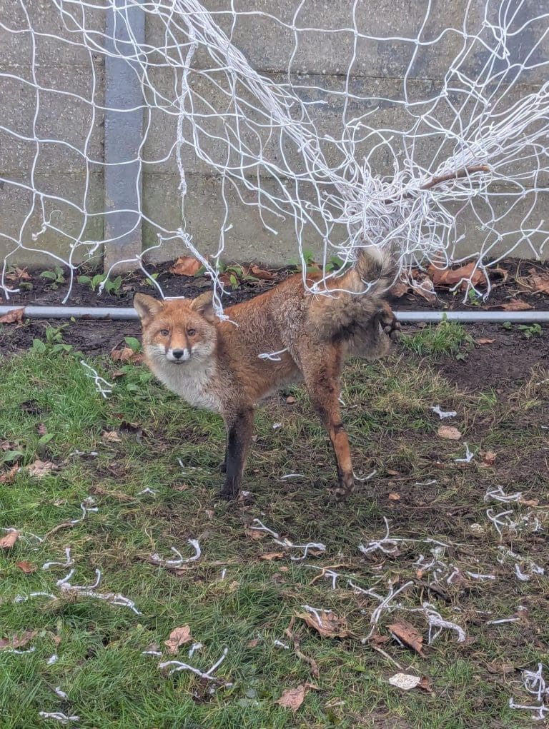 If You Have Football Netting In The Back Garden, Please Pack Away After Use