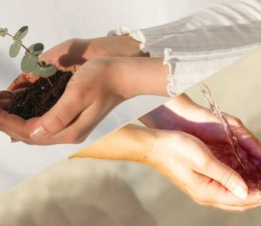 Water Cremation and Human Composting Could Soon Be Legal in the UK. Would You?