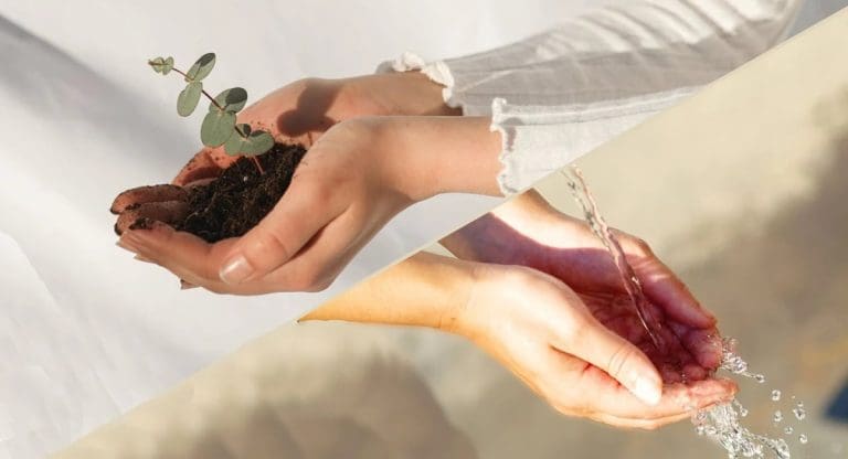 Water Cremation and Human Composting Could Soon Be Legal in the UK. Would You?