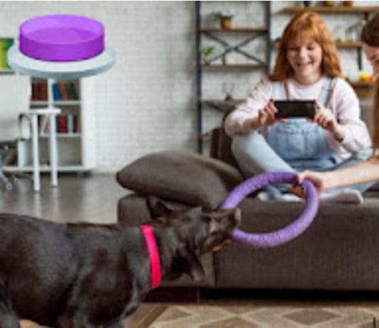 How to Use Sound Buttons to Teach Your Dog Basic Commands