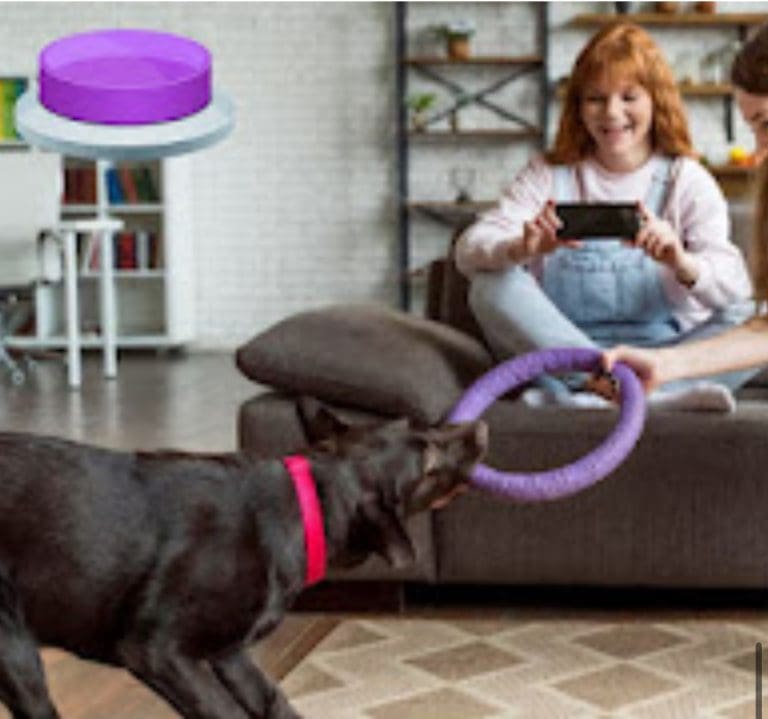 How to Use Sound Buttons to Teach Your Dog Basic Commands