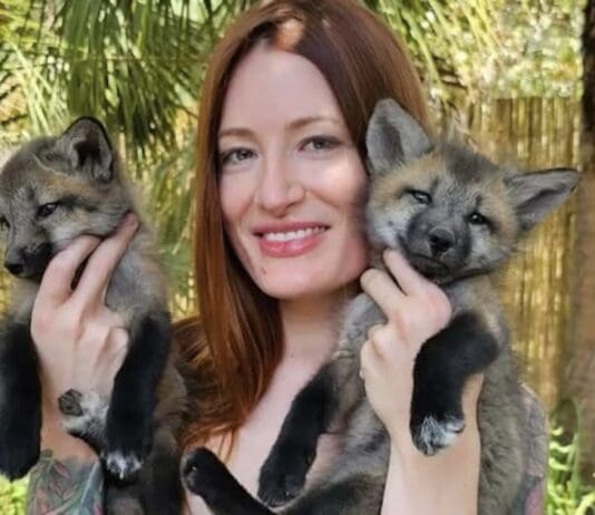 Animal Advocate Takes Her Own Life Following Trolling and Harassment Online