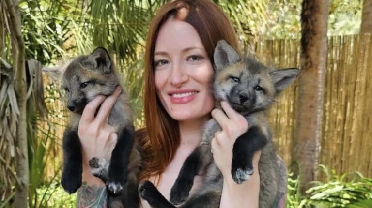 Animal Advocate Takes Her Own Life Following Trolling and Harassment Online